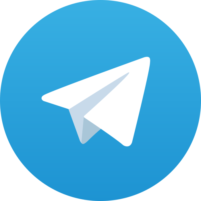 Telegram musks xai partner distribute grok messaging apps users