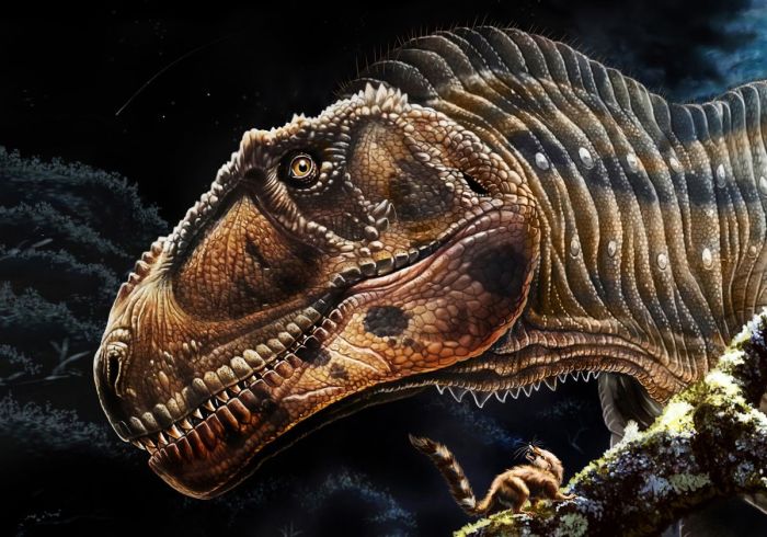 Rex financial launches covered call nvidia etf hours before earnings release