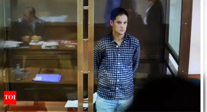 Us judge grants russian born harvard scientist bail immigration case