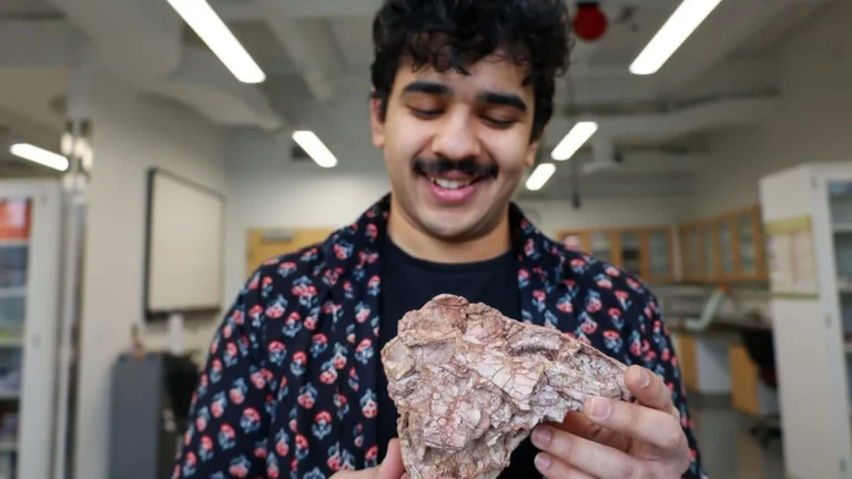 A Cracked Skull Unearths a New Chapter in Dinosaur Dominance and Extinction