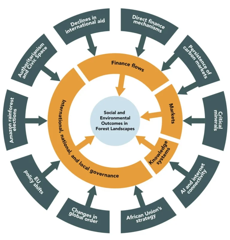 Forces Shaping the Future of Forests A Decadal Horizon Scan of Politics Finance and Technology