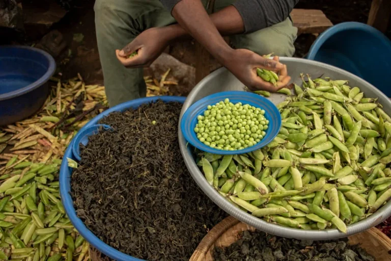 From Crisis to Circularity: How Africa is Redefining Food Security Through Local Fertilizer Innovation and Bio-Organic Solutions