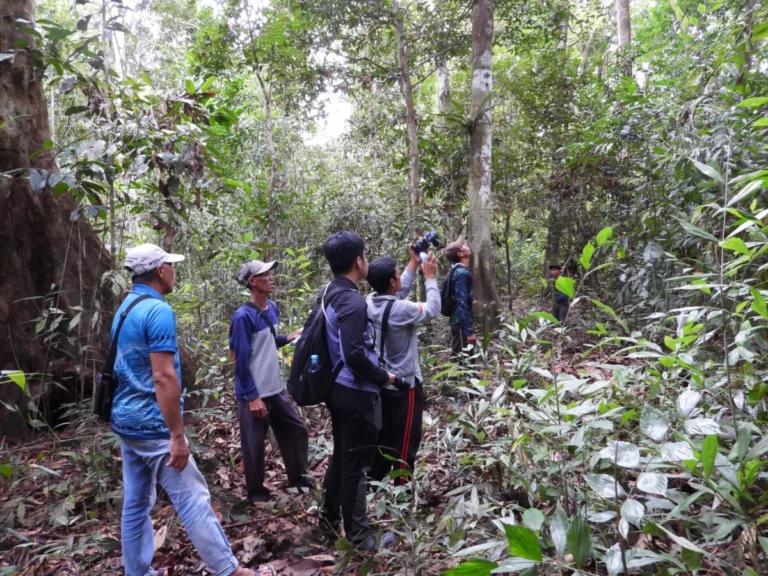 KehatiKu: How a Pay-for-Sightings Pilot Program is Transforming Wildlife Conservation in West Kalimantan