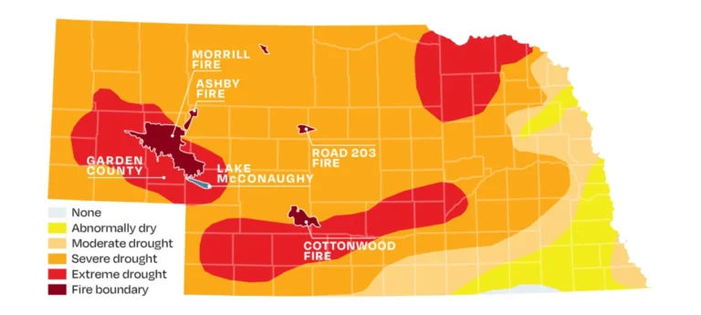 Nebraska Wildfires Devastate Ranching Heartland as Record-Breaking Blazes Reshape the Future of the Sandhills