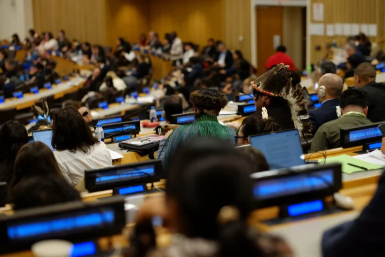 The AI Paradox Indigenous Communities Navigate the Digital Frontier of Protection and Extraction