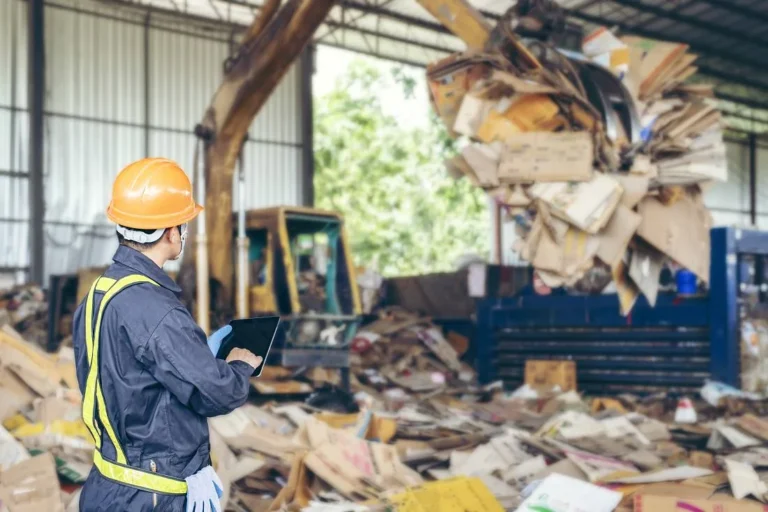 The Evolution of Circular Packaging Examining Market Growth Regulatory Shifts and the Widening Gap Between Paper and Plastic Recovery