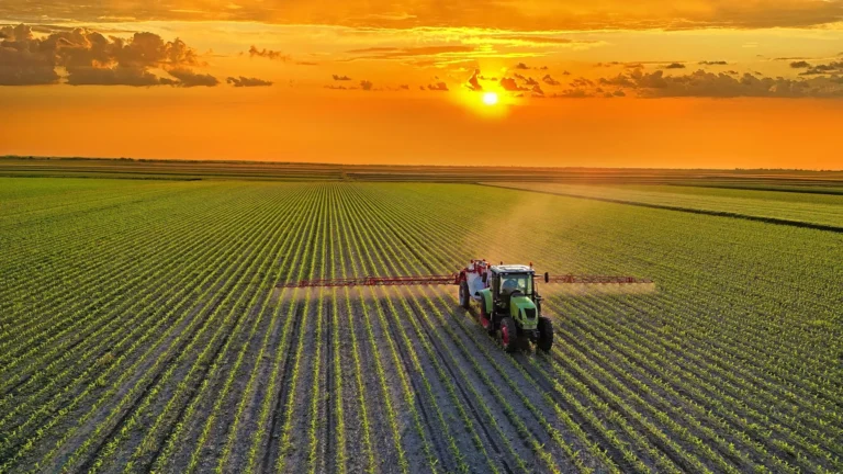 A healthier global diet could cut farm emissions by 85%