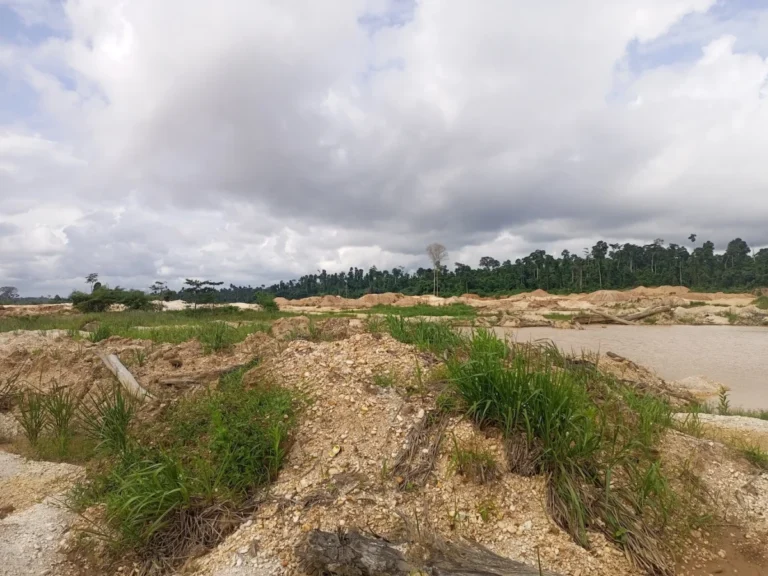 Ghana High Court Sentences Politician Bernard Antwi Boasiako to 20 Years for Illegal Mining in Landmark Environmental Ruling