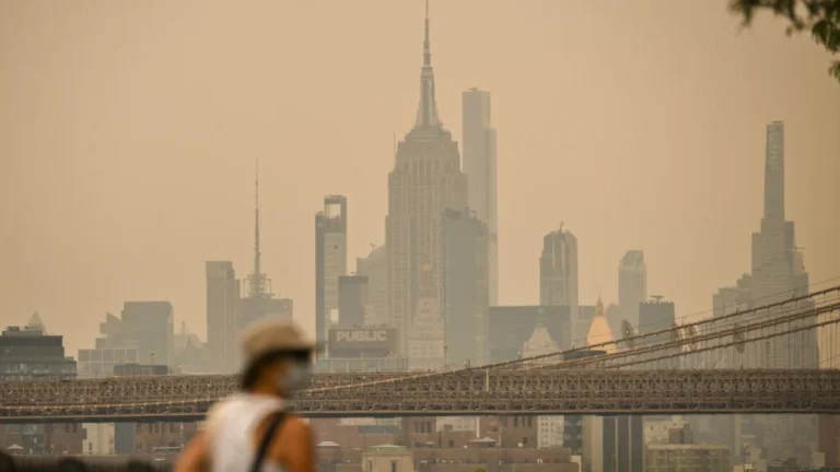 Lessons from Smog: How Past Environmental Health Crises Can Inform Our Response to Climate Change