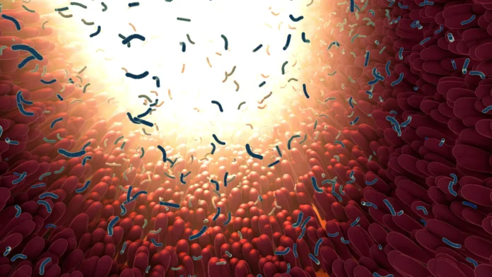 sweeteners-directly-interfere-with-beneficial-gut-bacteria-growth-cambridge-study-reveals