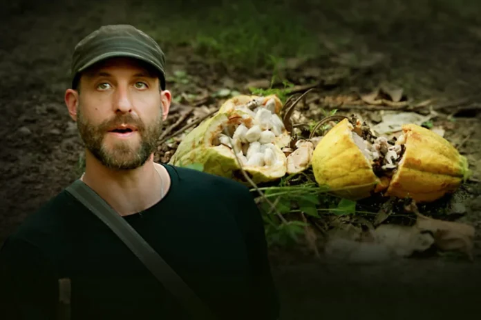 the-battle-for-liberias-rainforest-the-high-cost-of-the-global-cocoa-rush