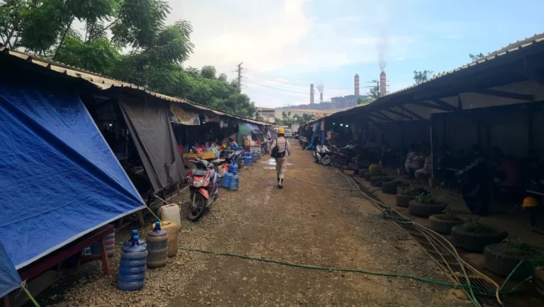 The Dark Side of the Green Transition: Conflict, Crime, and Rare Earth Mining in Myanmar’s Borderlands