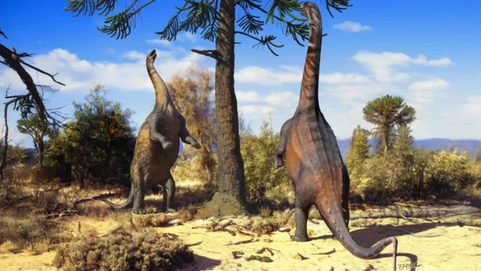 the-unexpected-agility-of-ancient-giants-south-american-sauropods-possessed-remarkable-upright-stance-capabilities