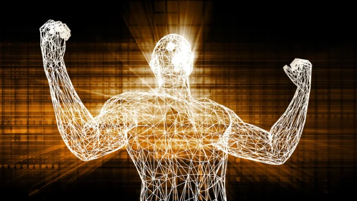 unlocking-muscle-regeneration-kyushu-university-researchers-discover-compound-that-enhances-age-resilient-hgf-signaling
