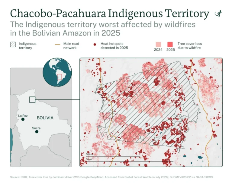 Wildfires Devastate Chacobo-Pacahuara Indigenous Territory in Bolivian Amazon as Illegal Ranching Fires Surge