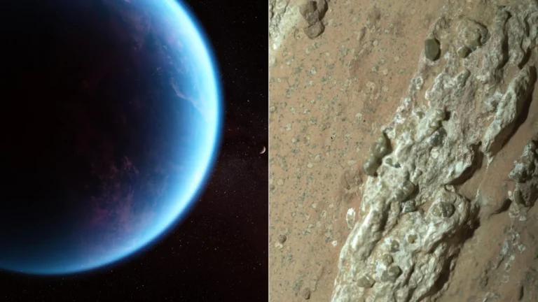 Are We Actually Alone: What the Scientific Community Truly Thinks About the Search for Extraterrestrial Life