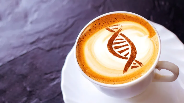 Beyond the Wake-Up Call: New Research Reveals How Caffeine Activates Ancient Cellular Defense and DNA Repair Mechanisms
