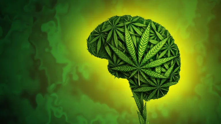 Cannabis Use Linked to Higher Risk of Violent Behavior and Victimization According to Large-Scale Study