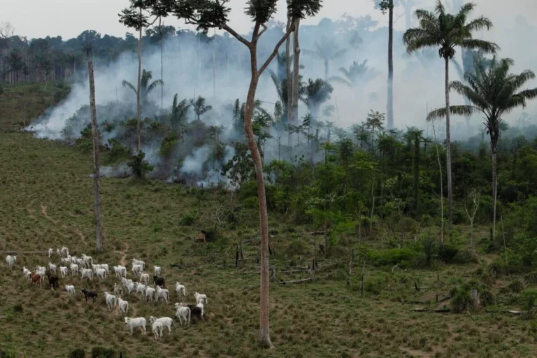 Crisis Deepens in the Brazilian Amazon as Hundreds Invade Protected Indigenous Territory of Ituna/Itatá