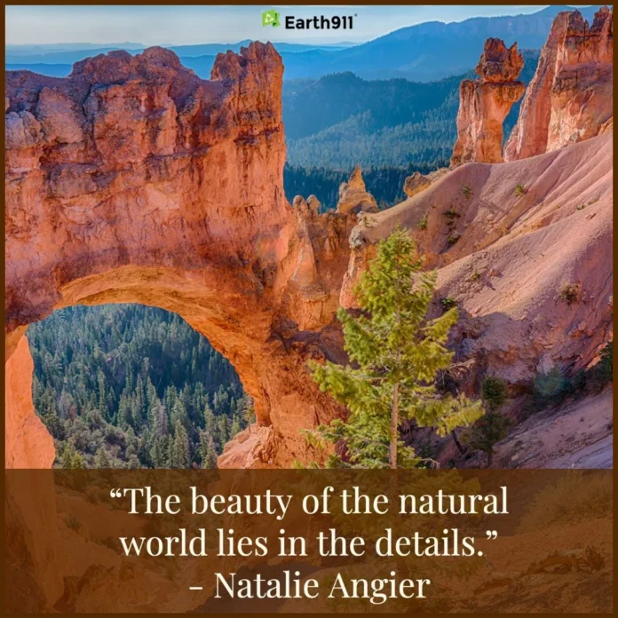 earth911-pioneers-the-circular-economy-by-connecting-global-consumers-with-sustainable-solutions-and-comprehensive-recycling-infrastructure
