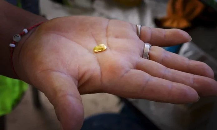 gold-mining-in-the-peruvian-amazon-a-struggle-for-formalization-and-survival-in-madre-de-dios