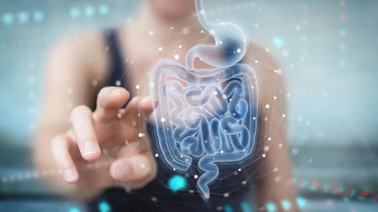 Gut Microbe Metabolite From Pomegranates and Berries Shows Promise for Inflammatory Bowel Disease Treatment