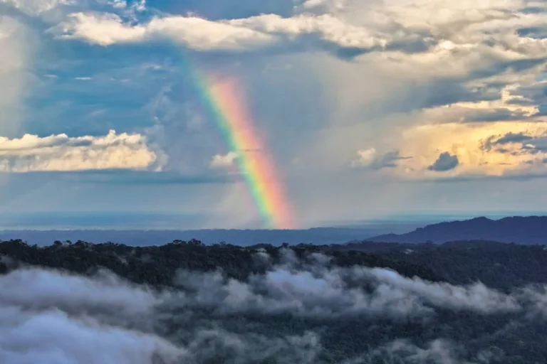 How the Yellowstone to Yukon Conservation Initiative is Rewriting the Future of North American Wildlife Connectivity