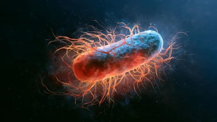 magnetotactic-bacteria-extend-lifespan-in-model-organisms-by-inhibiting-ferroptosis