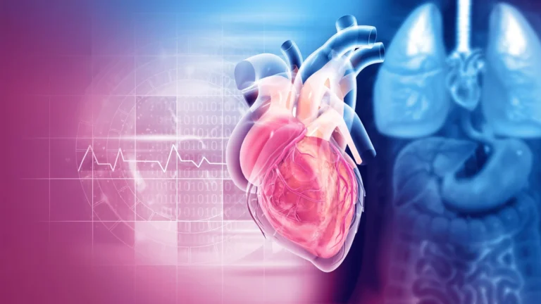 New Northwestern Medicine Study Reveals Coronary Artery Calcium Scans Offer Limited Value for Most Patients Outside Borderline Risk Categories
