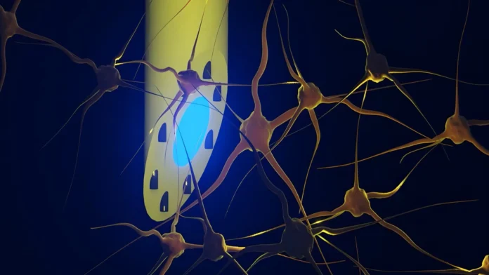 next-generation-soft-brain-implant-promises-unprecedented-precision-in-neurological-research-and-future-epilepsy-treatments
