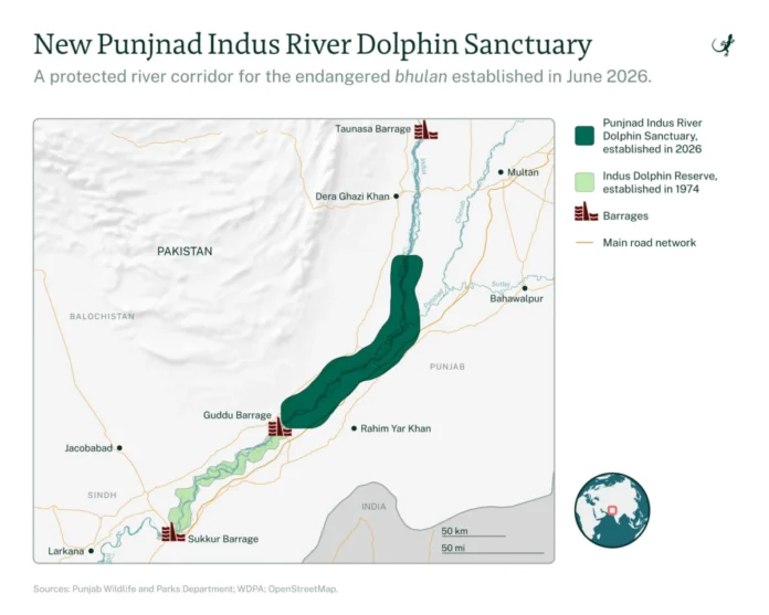 pakistan-expands-protected-habitat-for-the-indus-river-dolphin-as-recovery-offers-hope