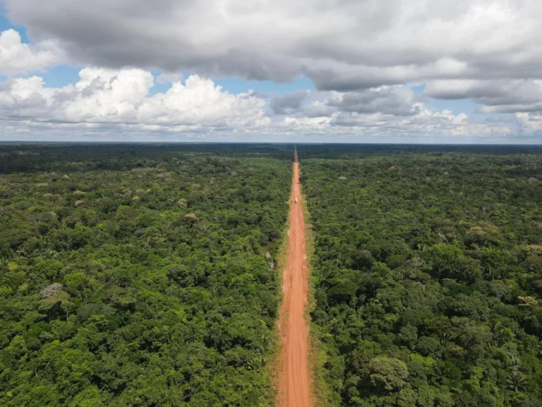 Paving the Amazon: The High-Stakes Battle Over Brazil’s Infamous BR-319 Highway