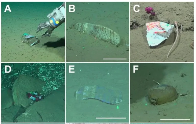 Plastic waste has been found in the most remote places including a deep-sea canyon off the coast of Argentina as highlighted in a recent study.