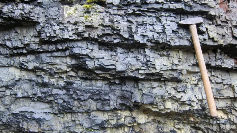 Rethinking the Great Oxidation: New Evidence Challenges the Global Scope of Earth’s Ancient Carbon Cycle Disruption