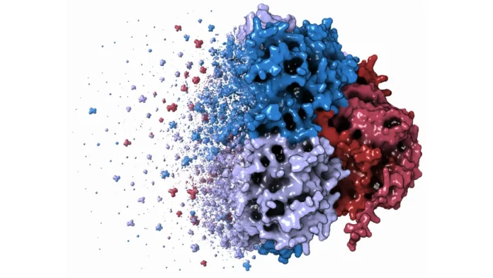 scientists-thought-they-knew-how-this-70-year-old-leukemia-drug-worked