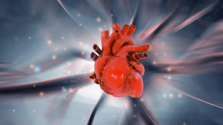 Silent Scars: How Chronic Everyday Stress and Hidden Inflammation Rewire the Human Heart