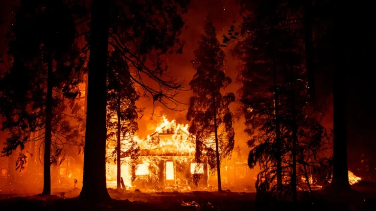 The Vicious Cycle of Wildland Firefighting: Why America is Trapped in a Megafire Doom Loop