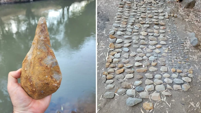a-giant-elephant-tooth-reveals-a-lost-prehistoric-world-700000-years-ago