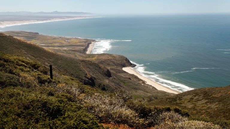 California Considers Historic Expansion of Marine Protected Areas in First Network Review in 15 Years