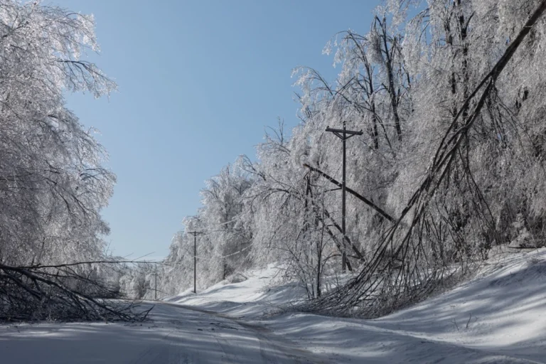 Federal Aid for Disaster-Ravaged Forests Stalls Nationwide Due to Severe Funding Shortfalls