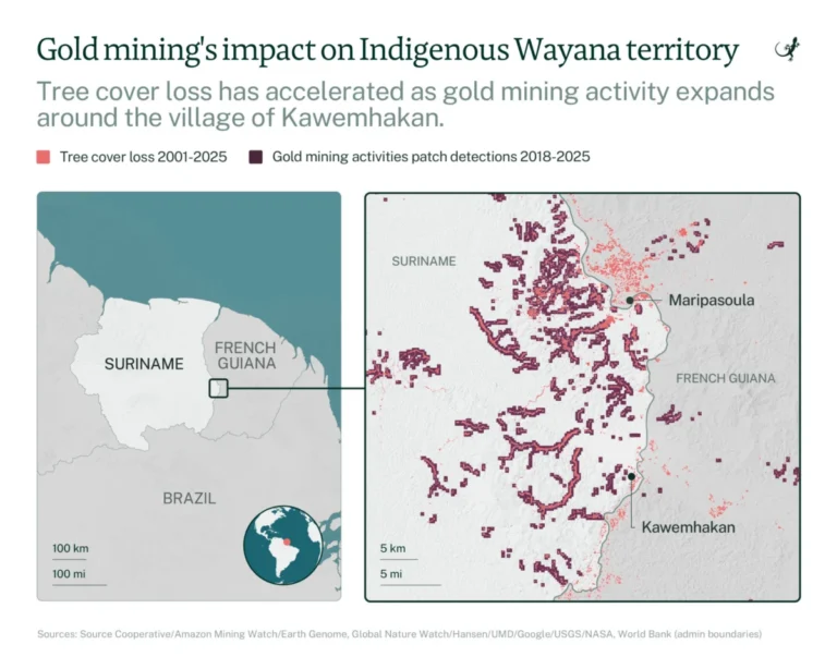 In Suriname’s Amazon, the Wayana community is struggling to keep gold miners at bay.