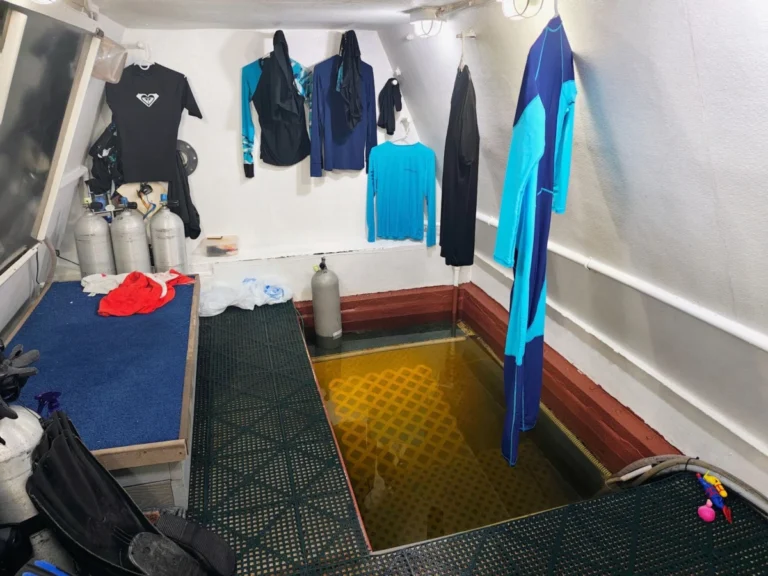 Simulated Martian Realities: Inside the SEA STAR Underwater Mission at Jules Undersea Lodge