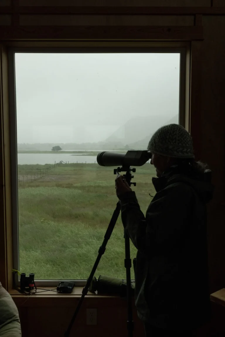 The Golden Shield Over Kodiak: How a Quiet Alaskan Island Became the Tip of the Spear for Arctic Military Expansion