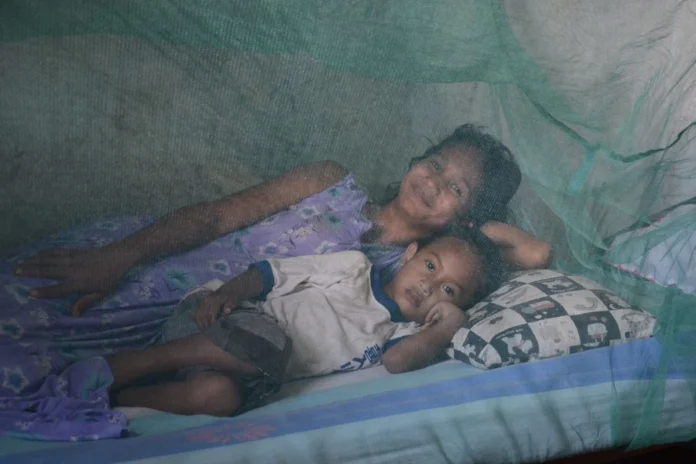 timor-leste-officially-certified-malaria-free-by-the-world-health-organization-following-historic-public-health-triumph